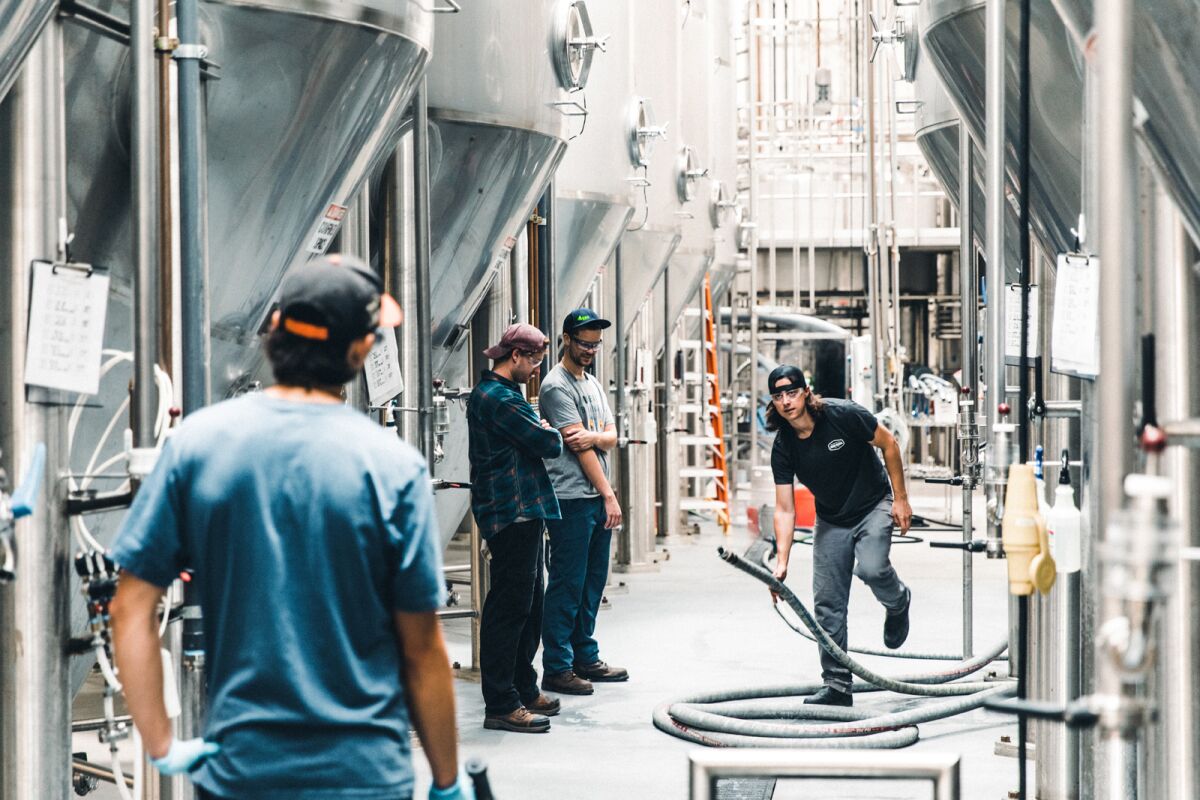 Workers make beer at Athletic Brewing Company's San Diego brewery.