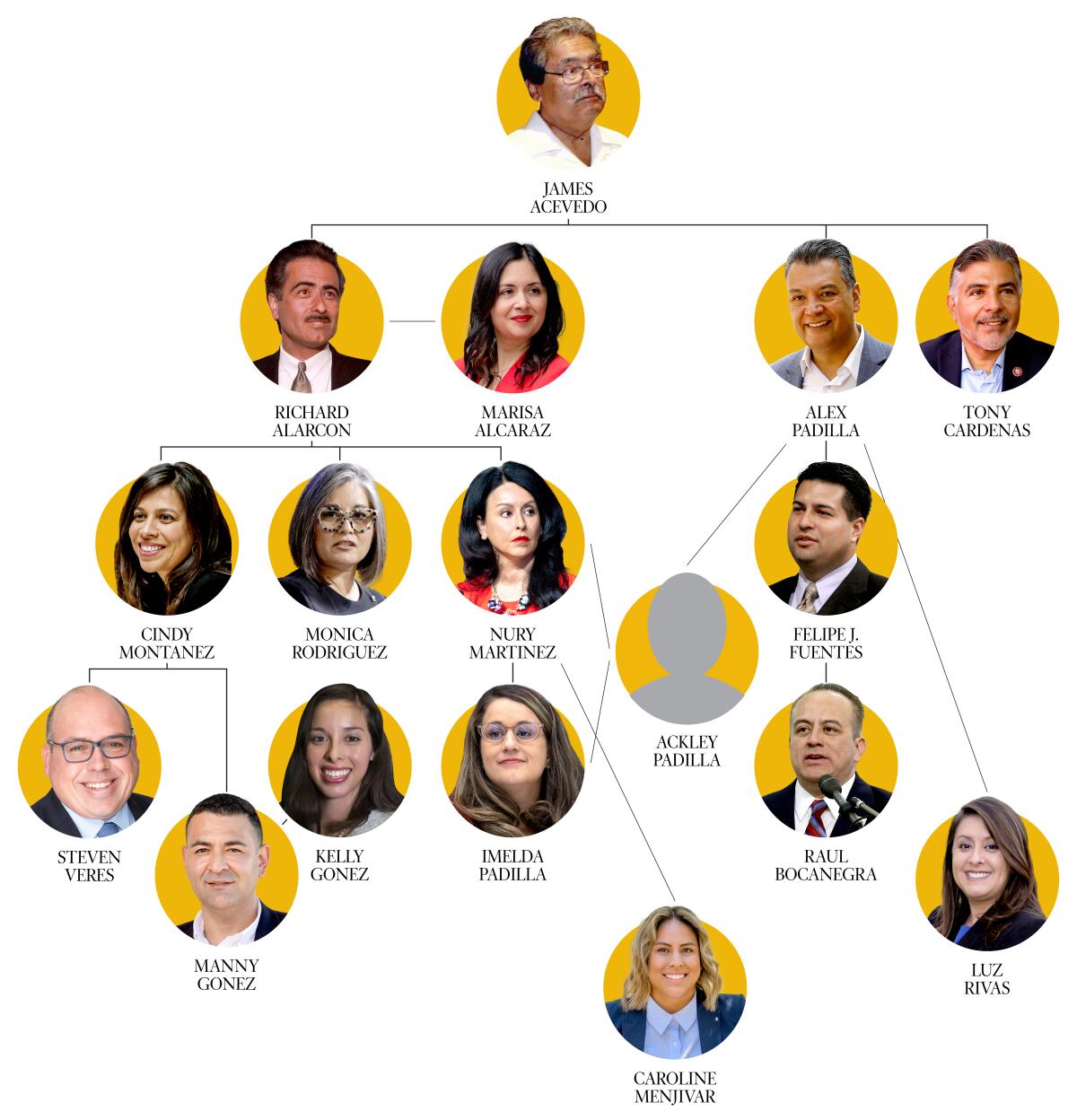 San Fernando Valley Latino politicians family tree with James Acevedo at top.