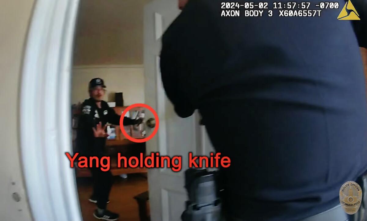 LAPD body cam video