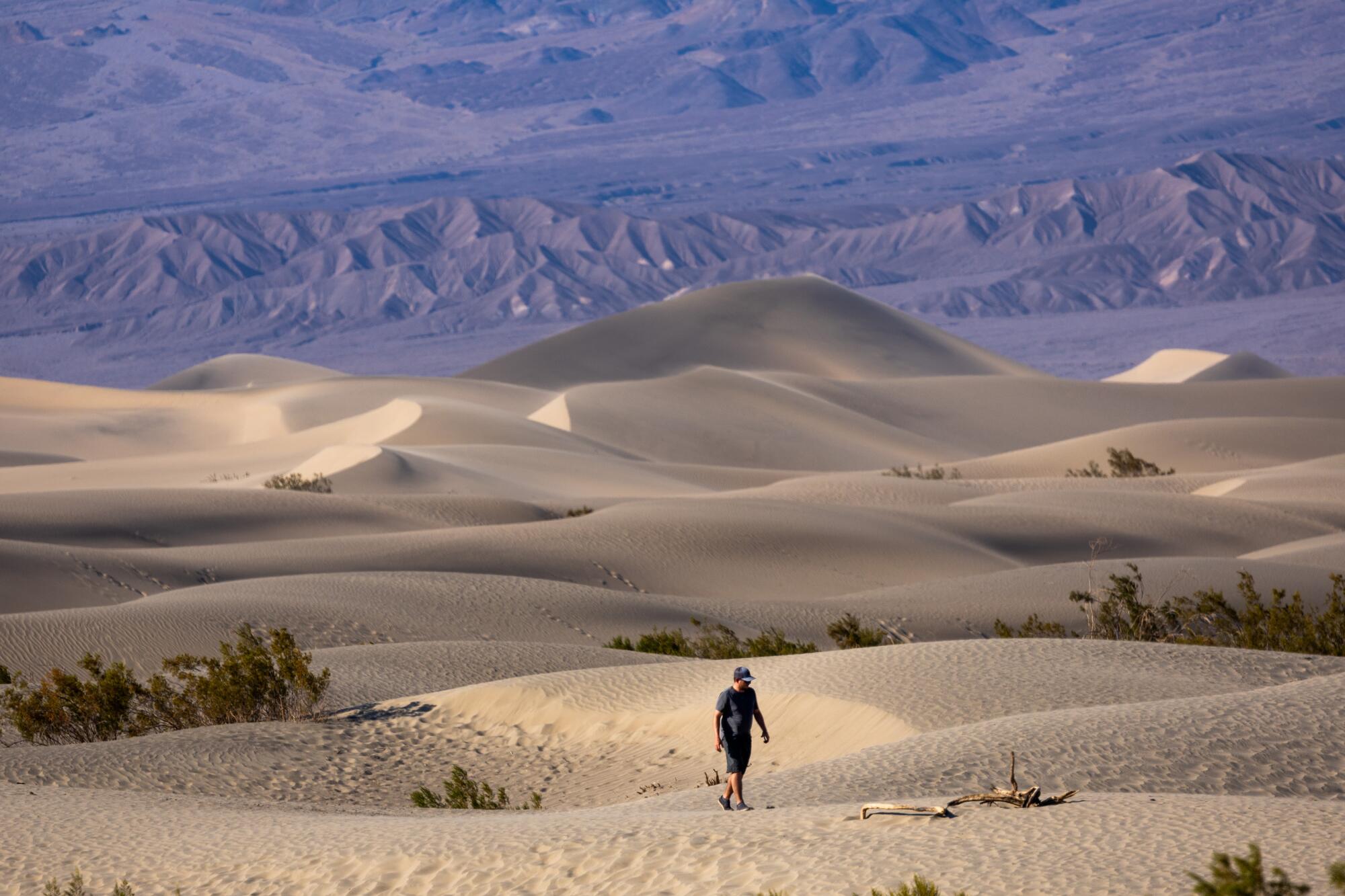 A person walks among sand dunes.