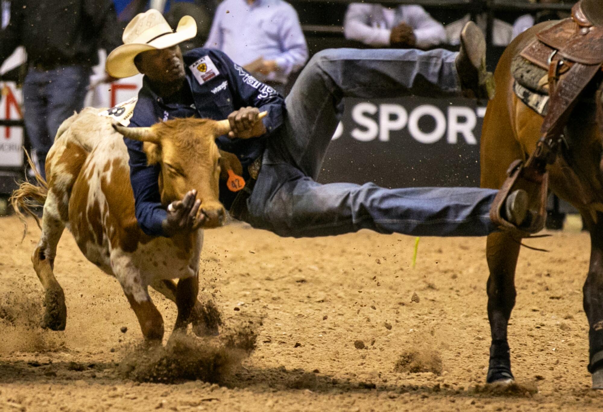 A cowboy takes a calf by the horns during the bulldogging competition