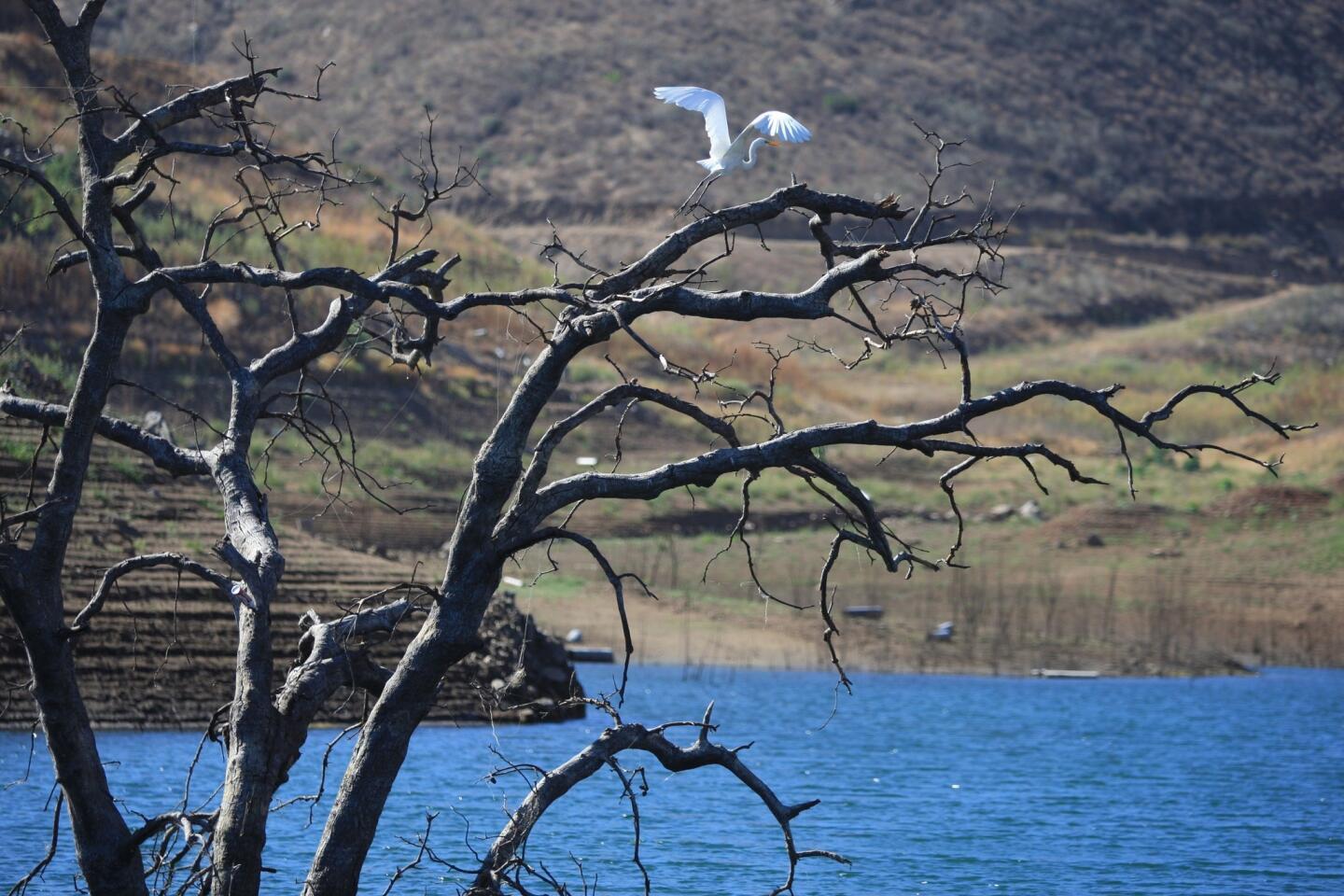 Diamond Valley Lake