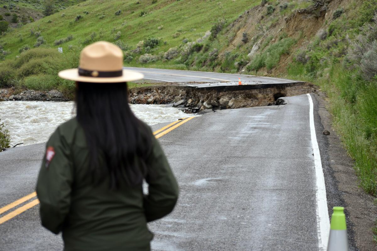 A woman in a park ranger's hat stands outdoors on a roadway looking toward where a chunk of it is missing.