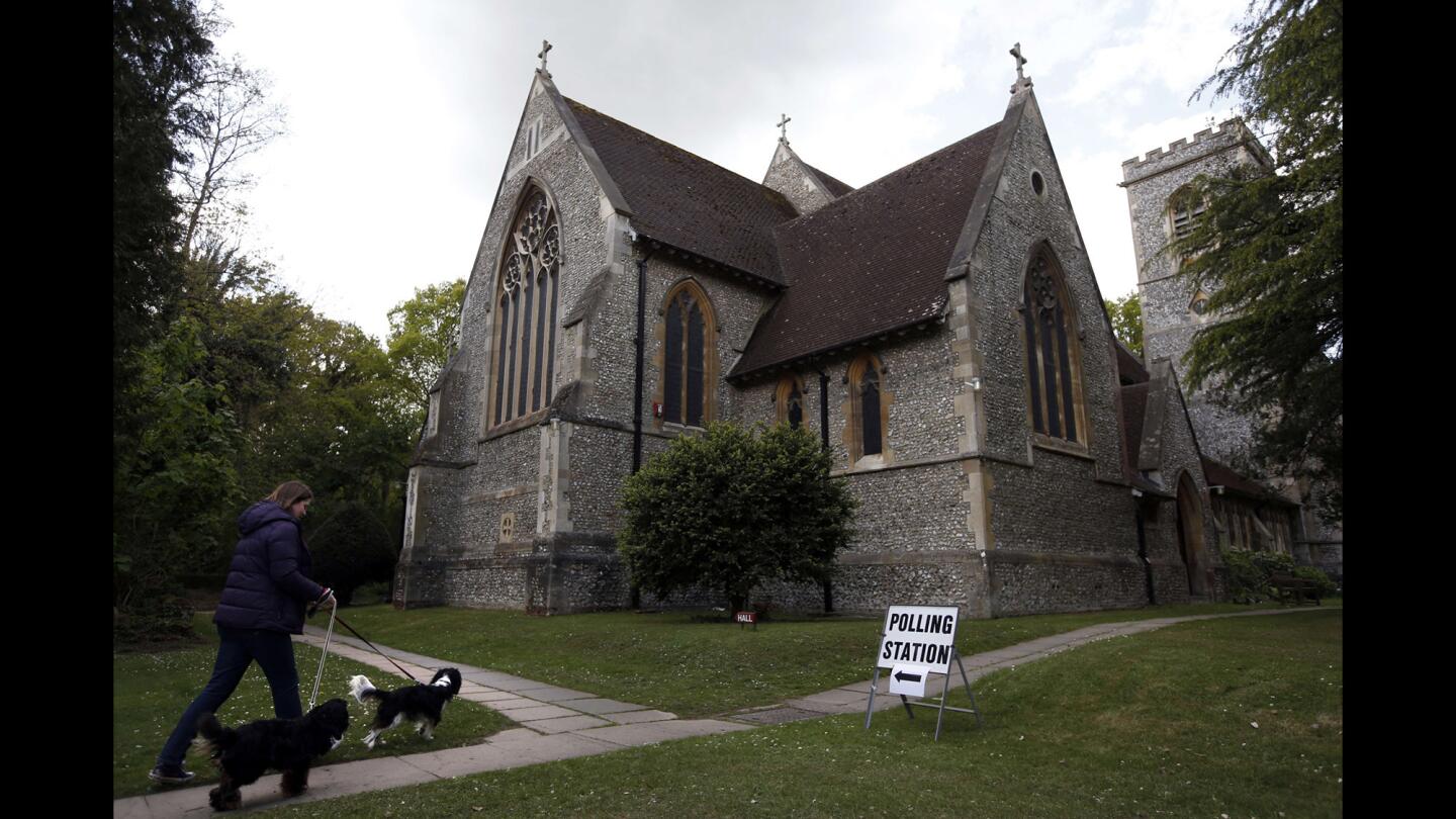 Dogs waiting at polling stations