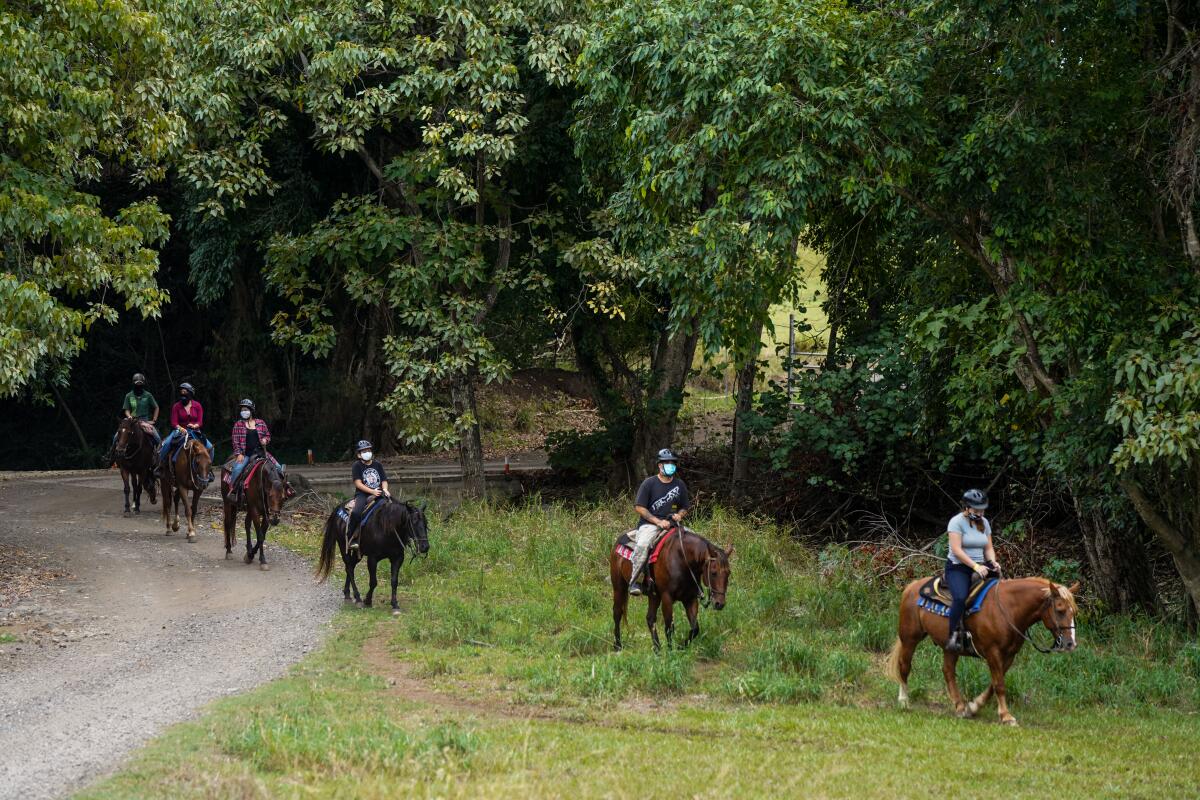 Horseback riders take a tour of Kualoa Ranch nature retreat near Kaneohe on Oahu.