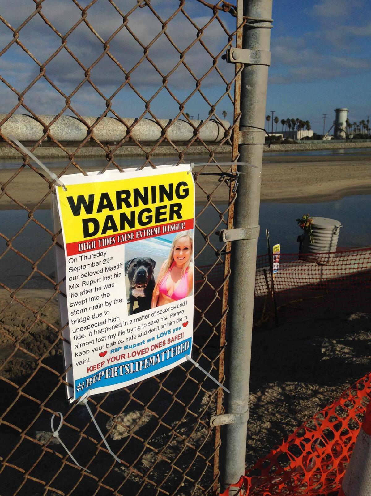 Madi McNaughton, of Huntington Beach, placed fliers around the Santa Ana River area warning dog owners to stay away from the storm drain that claimed her 150-pound mastiff mix Rupert.