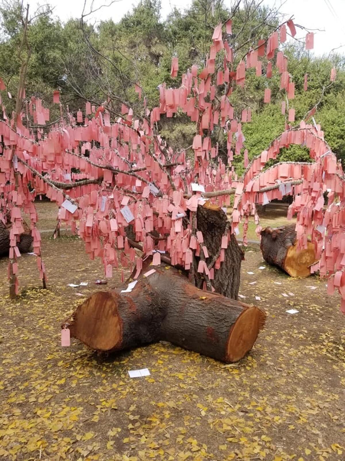 A tree covered with pink cards on which wishes have been written.