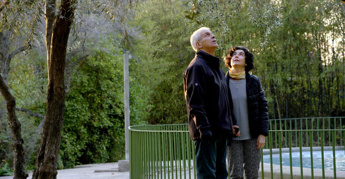 A man and a woman look up in a park.