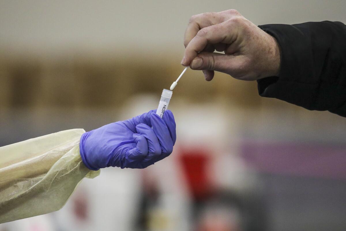 Close-up of a hand in a plastic glove holding a vial and an ungloved hand placing a cotton swab into the vial.