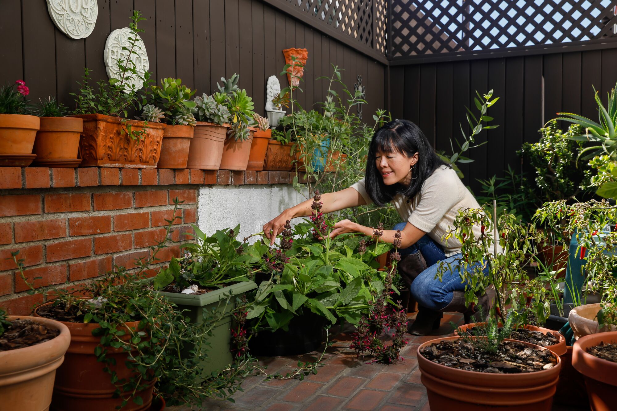 Barbara Chung reaches toward a plant on her patio, surrounded by dozens of different native plants.