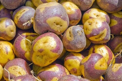 Piebald potatoes at the Weiser Family Farms stand at the Beverly Hills farmers market.