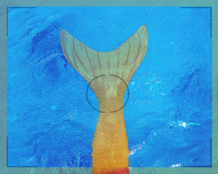 Photo illustration of mermaid tail caught on camera