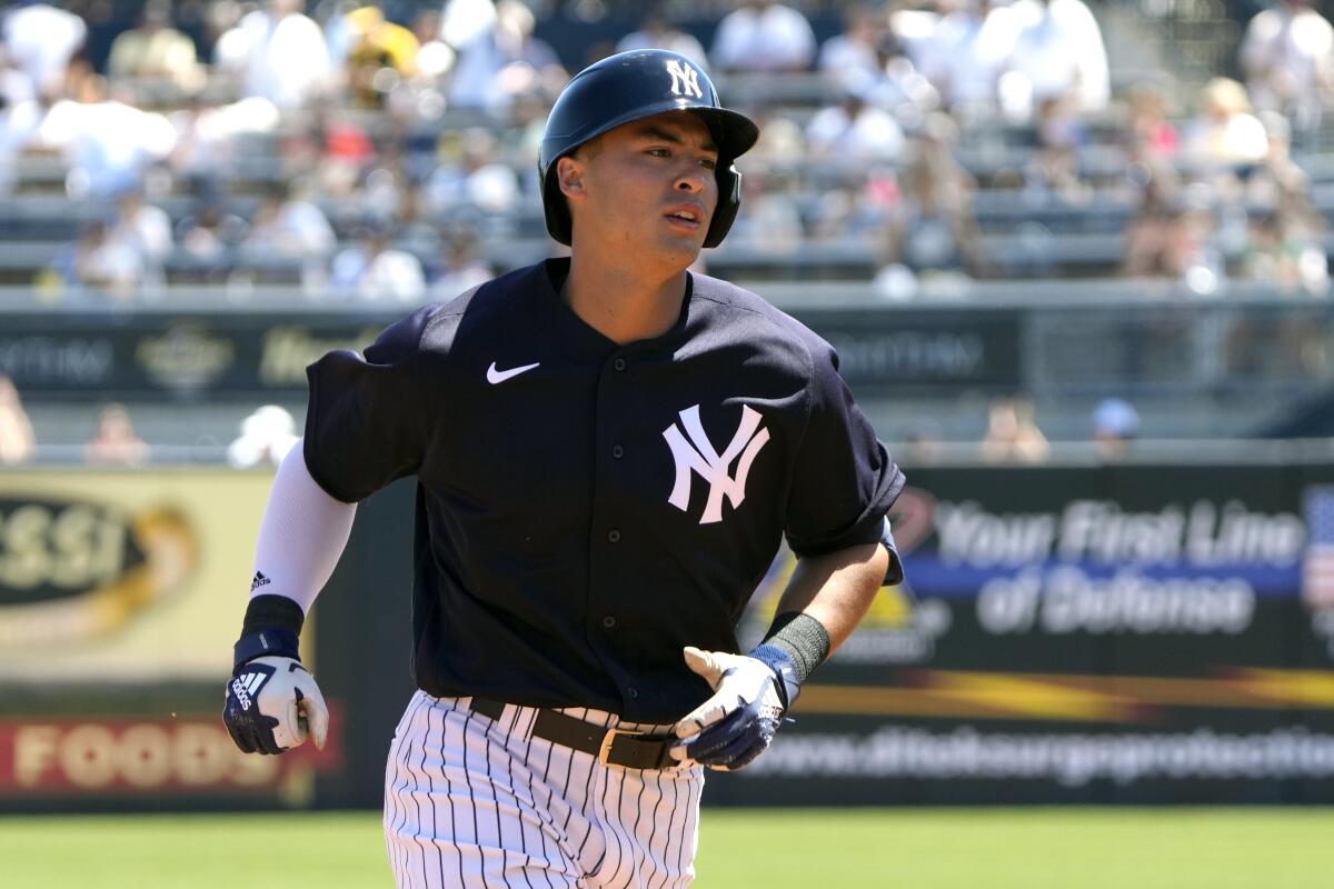 Top prospect Volpe, 21, wins Yankees' starting shortstop job - The San  Diego Union-Tribune
