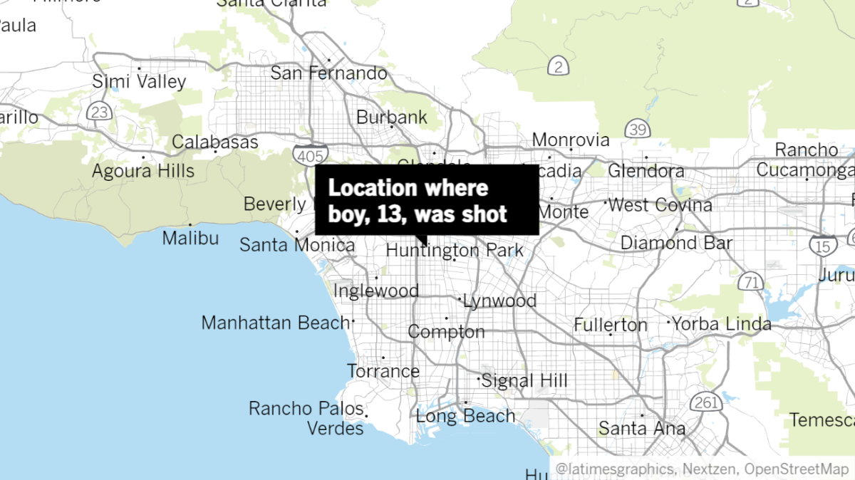 Locator map of South L.A. shooting
