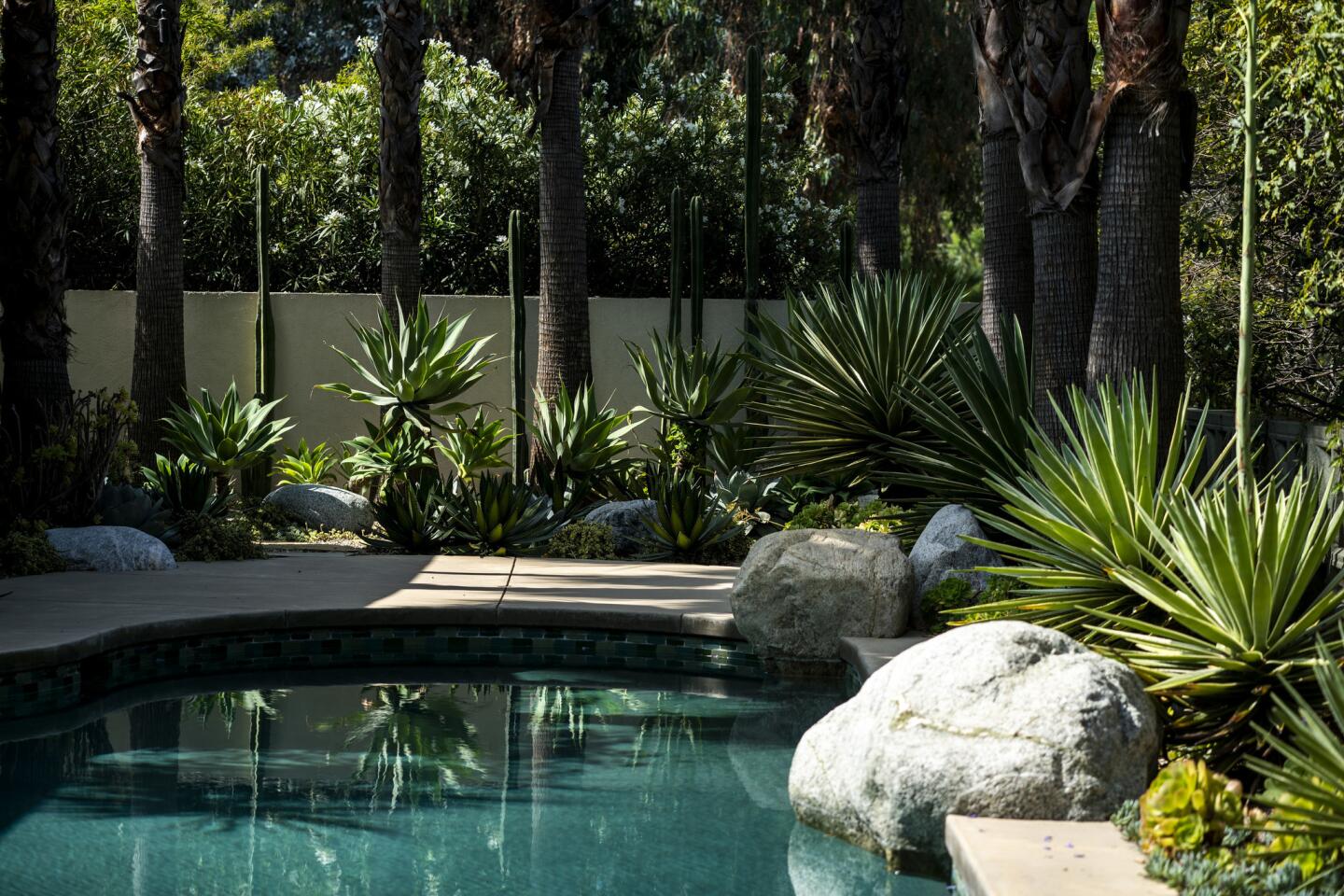 A new drought-friendly garden for their new Mid-century Modern home