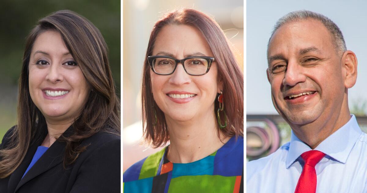 Mixed Results in Recent Local Elections