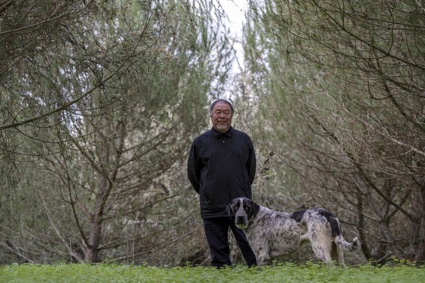 Dissident Chinese artist and activist Ai Weiwei poses for a photo in the garden of his country house in Montemor-o-Novo, Portugal, Tuesday, Dec. 6, 2022. Ai is taking heart from recent public protests in China over the authorities' strict COVID-19 policy, but he doesn't see them bringing about any significant political change. (AP Photo/Ana Brigida)