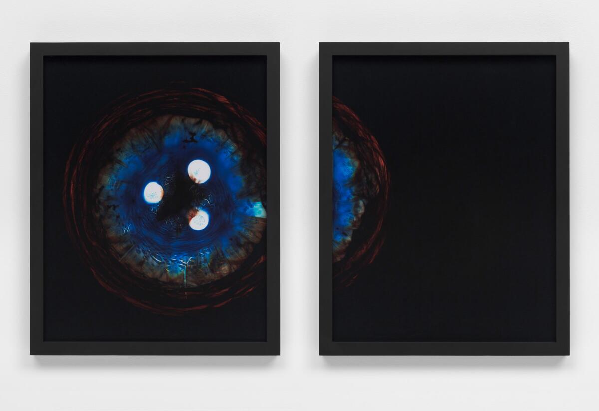 Two glass panel art pieces in "Kelly Akashi: Formations."