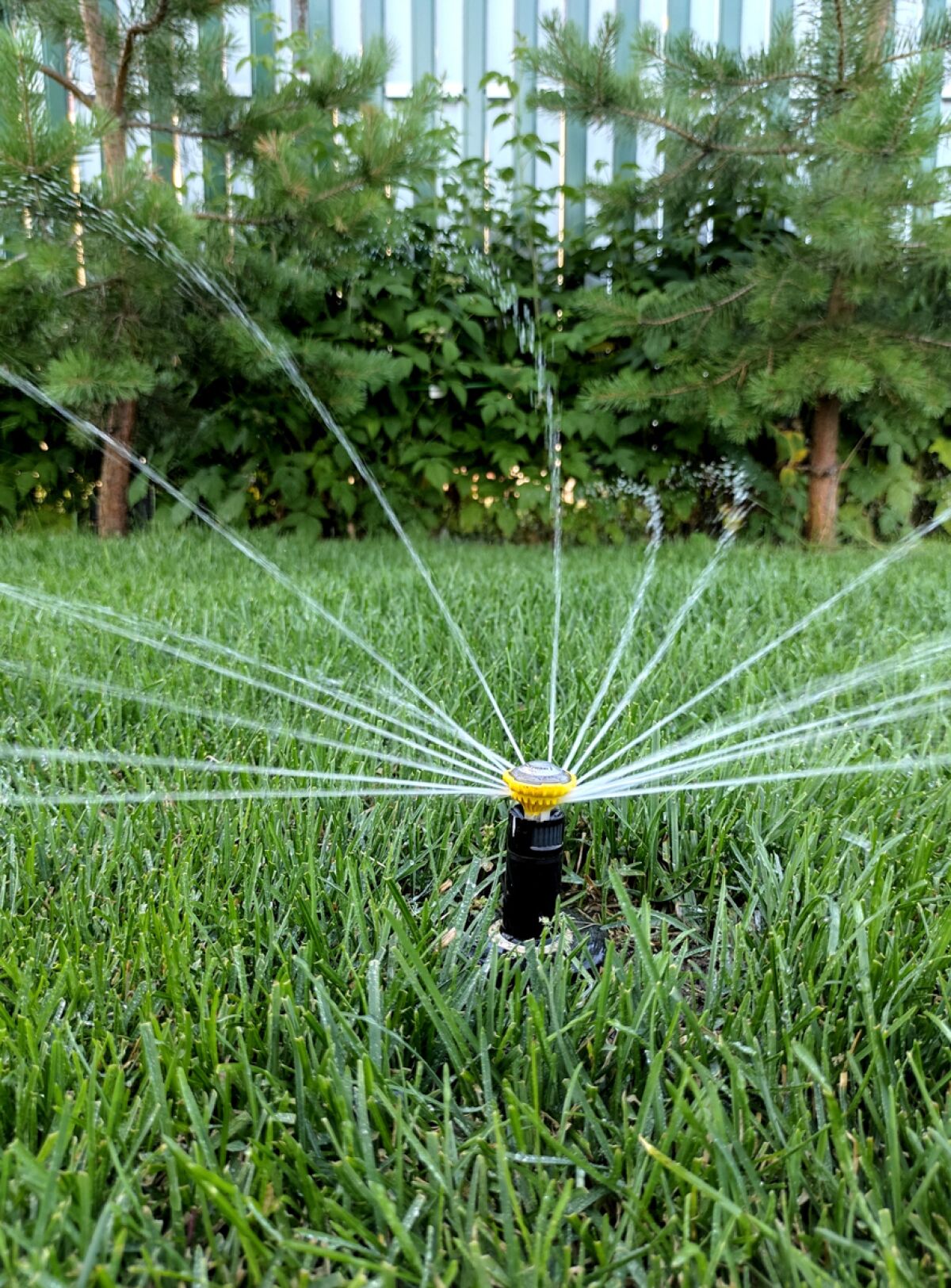 If you use sprinklers, make sure they’re functioning properly and consider a smart controller to automate their timing.