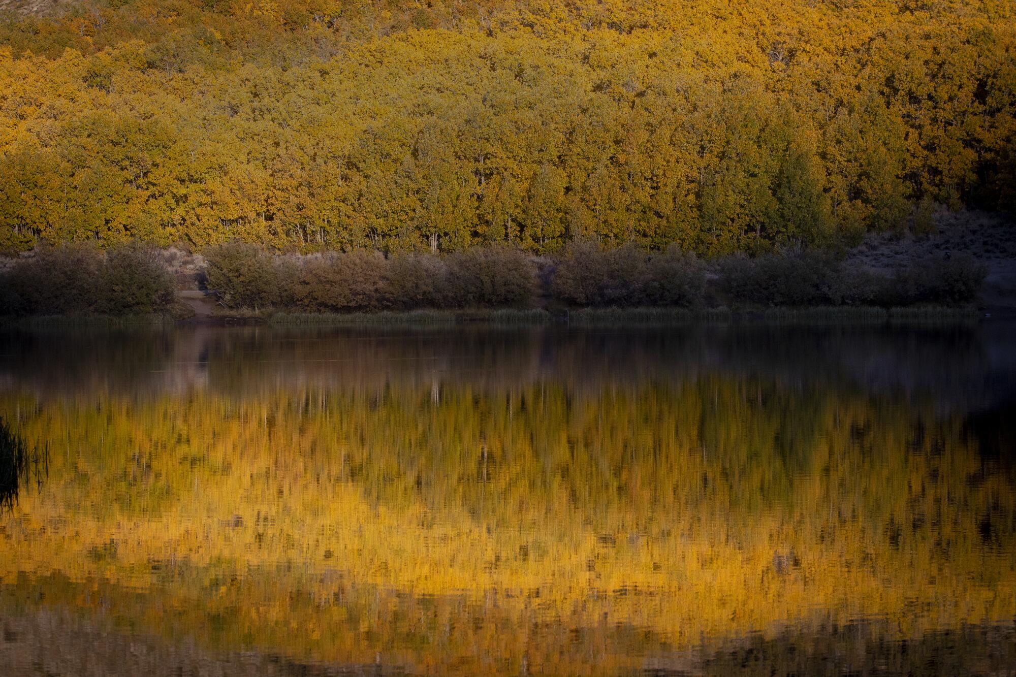 North Lake in Bishop