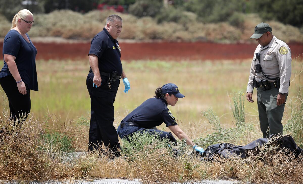 The remains of two dogs are removed from the scene of the  lightning strike