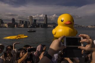 Una instalación de arte llamada "Double Ducks" del artista holandés Florentijn Hofman en el puerto de Victoria en Hong Kong, el 10 de junio de 2023. Uno de los patos se desinfló debido al calor. (Foto AP/Louise Delmotte)
