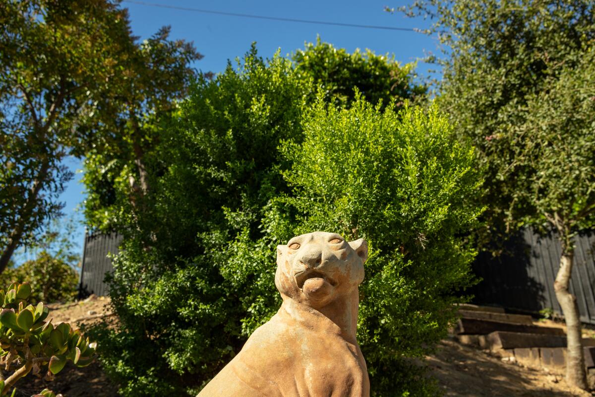 A statue of a mountain lion in a garden.