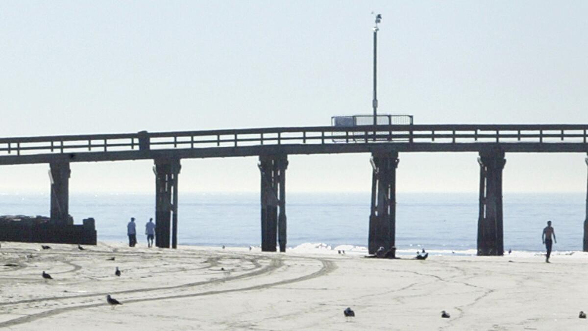 The dog's body was found about a mile from the Newport Pier.