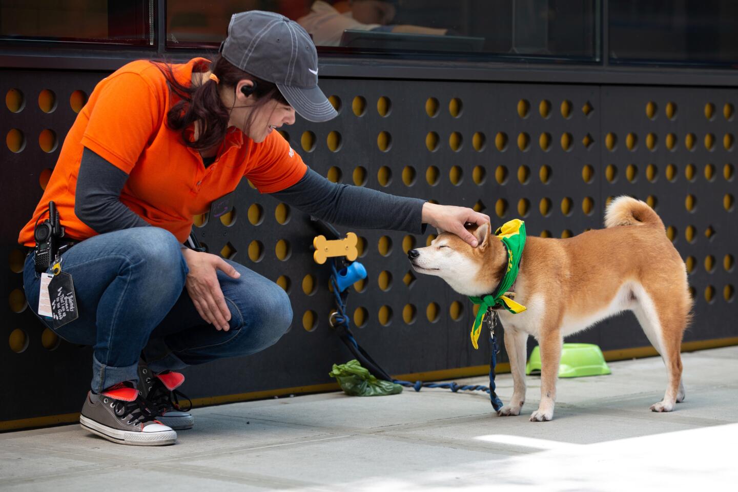 Amazon dog culture in Seattle