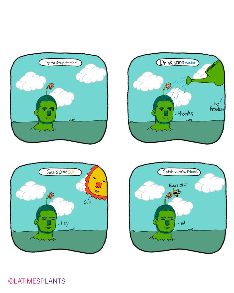 25 best plant memes of 2020 - Los Angeles Times