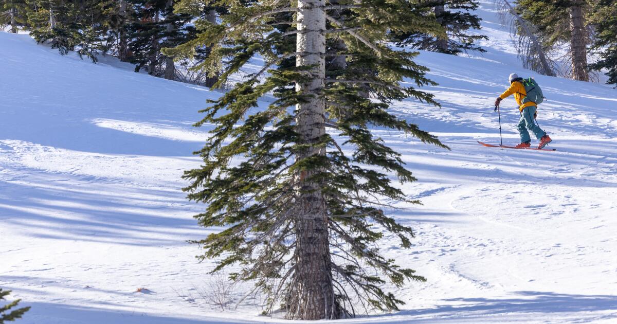 Os perigos e prazeres do esqui no interior: por que alguns assumem o risco