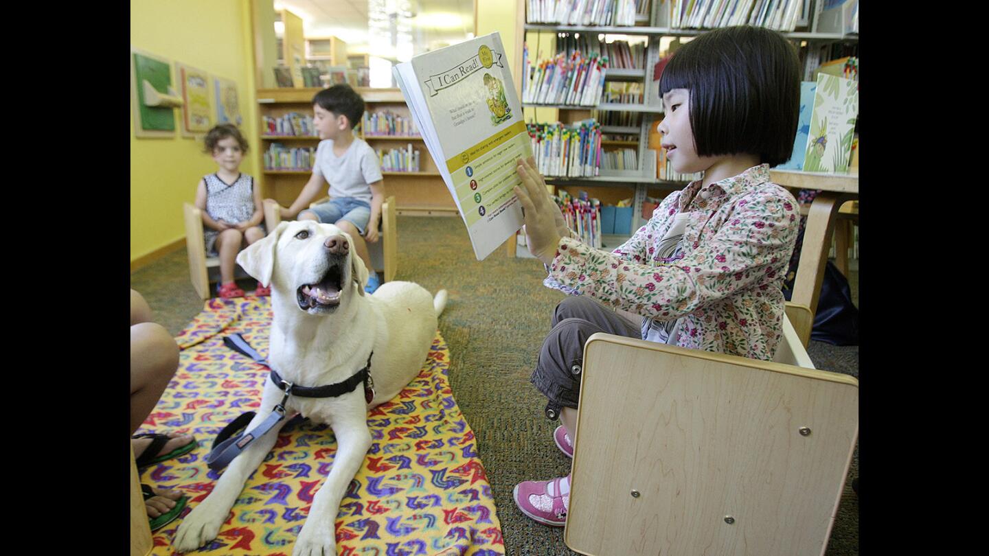 Photo Gallery: Children read to therapy dog at Montrose Library