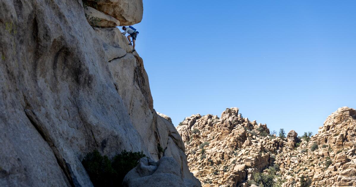 Why did national parks look so normal during this shutdown?