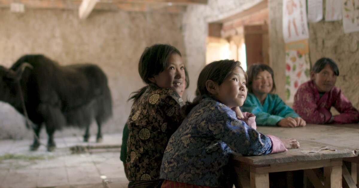 Los contendientes internacionales al Oscar analizan el destino y la determinación Los contendientes internacionales al Oscar analizan el destino y la determinación