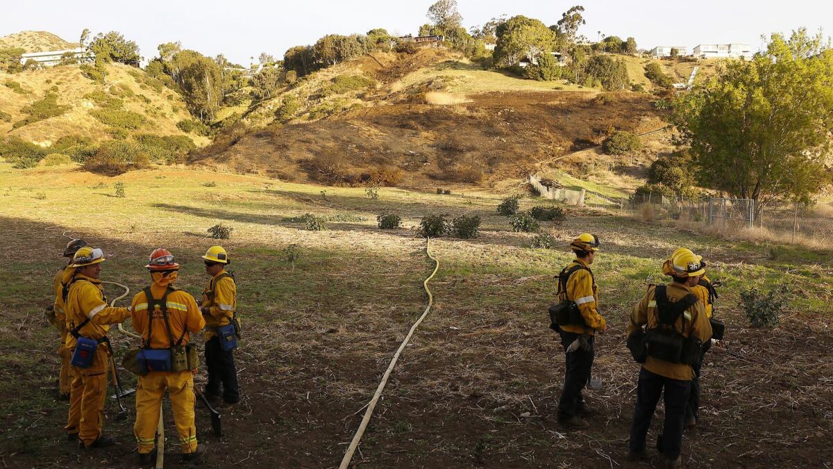 Los Angeles County firefighters prepare to put out hot spots on a scorched hillside where they fought a 2.6-acre brush fire behind the Malibu Library.