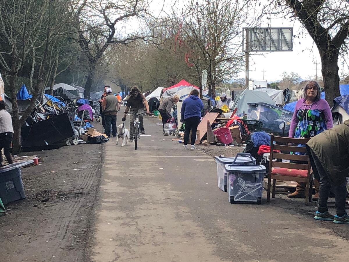 Santa Rosa homeless encampment