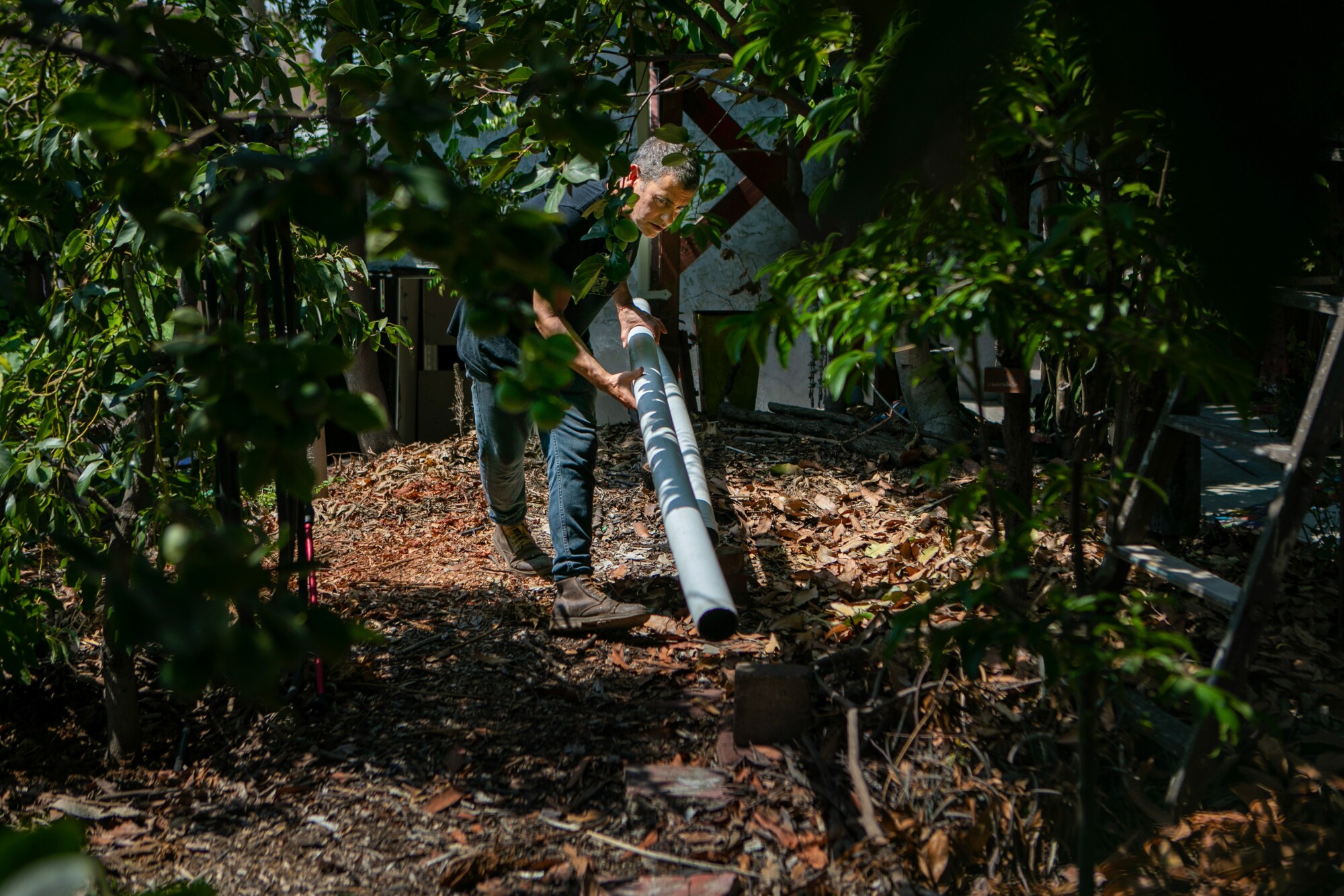 A man holds pipes and crouches as he walks through an orchard.