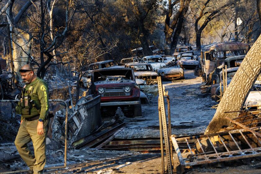 LAKE ELSINORE, CA - SEPTEMBER 11, 2024: Many vintage and antique cars have been destroyed next to a destroyed home in the Airport fire off Ortega Highway on September 11, 2024 in Lake Elsinore, California. (Gina Ferazzi / Los Angeles Times)