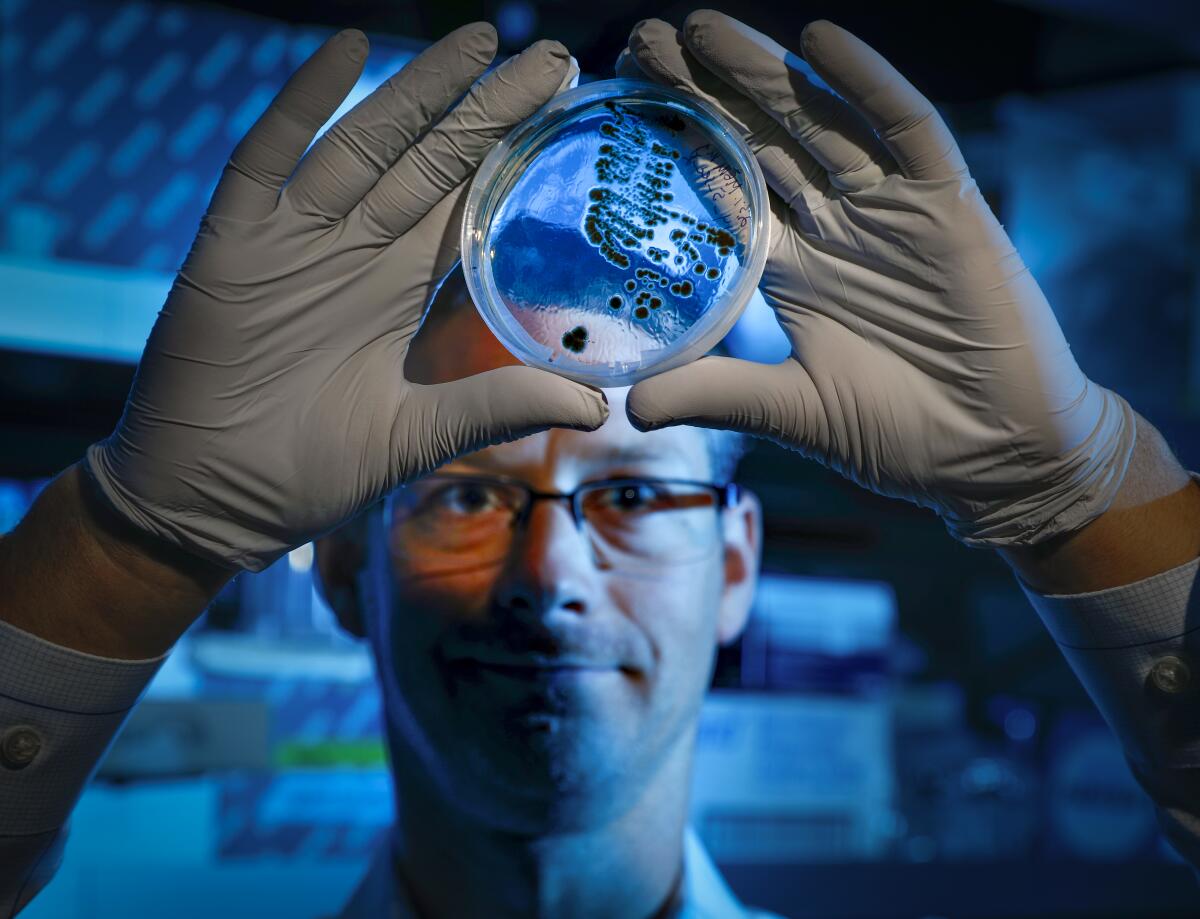 Jeff Bowman, assistant professor of microbial ecology at UC San Diego and Scripps Institution of Oceanography, holds a petri dish with a sample from the South Bay Salt works, August 23, 2019, in San Diego, California growing fungus, to help understand how similar fungi might exist in a place like Jupiter's moon Europa. Scientists from NASA, Georgia Tech, and other universities are also participating in the research.