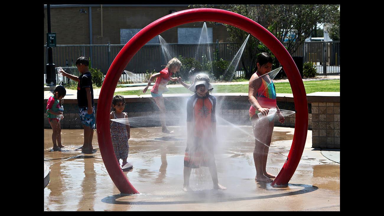 Photo Gallery:Keeping it cool when its hot