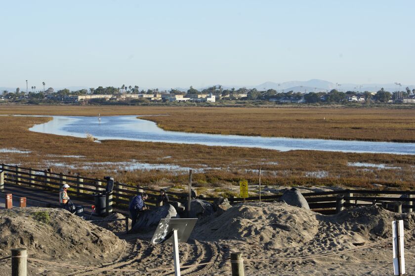 Imperial Beach, California, USA January 10th, 2019 | The Tijuana River National Estuarine Research Reserve floods during the morning high tide. Imperial Beach prepares for the King Tide along the San Diego coastline. | (Alejandro Tamayo, The San Diego Union Tribune 2019)