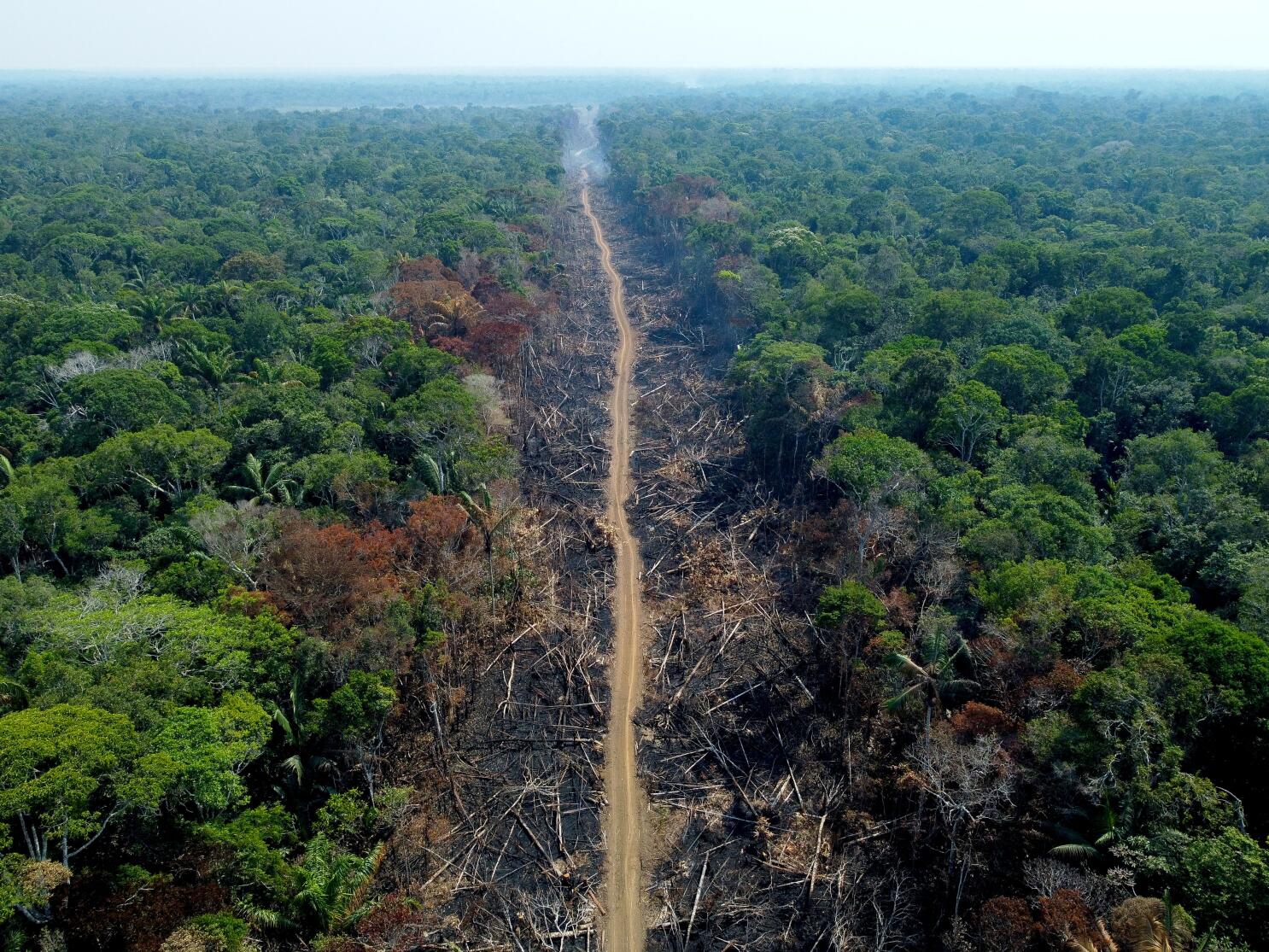 Biden Pledges $500 Million to Stop Deforestation in Brazil - The New York  Times