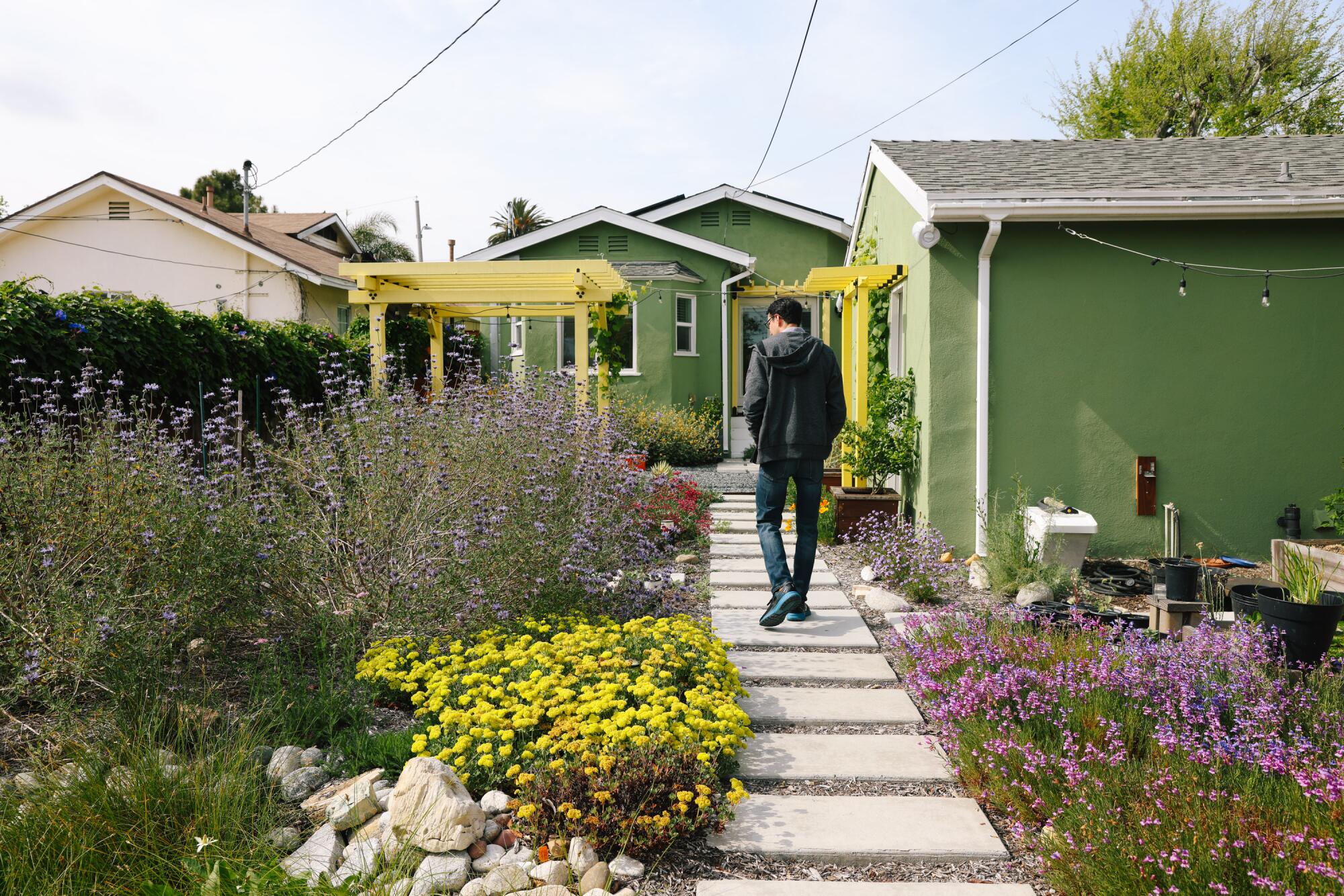 Lemon verbena: So many reasons to add aromatic plant to garden - Los  Angeles Times