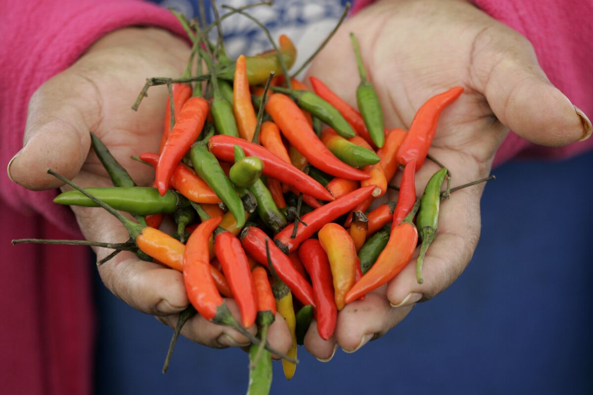 Peppers from the Gardena farmers market are shown. Gardena is one of the oldest farmers market in the Los Angeles area.