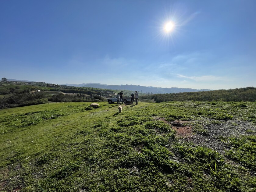 A portion of chef Lan Thai's new 19-acre farm in Bonsall, where she will grow produce for her Enclave cafes.
