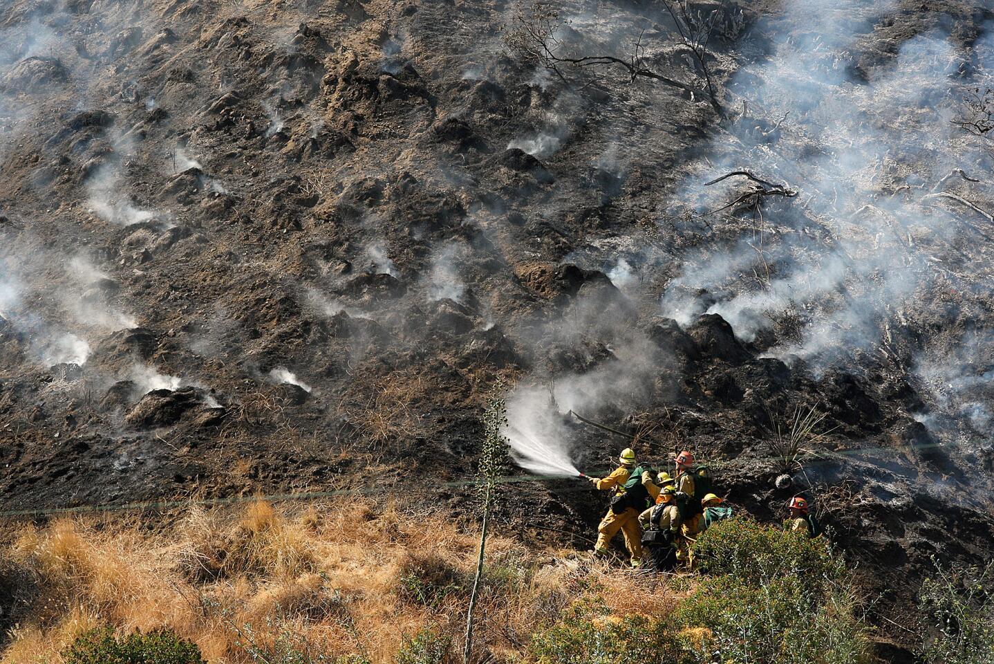 Crews battle Burbank brush fire