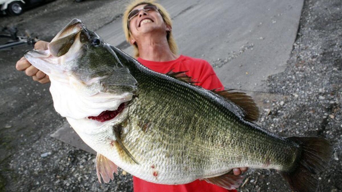 Japanese lake may claim largemouth bass record - The San Diego