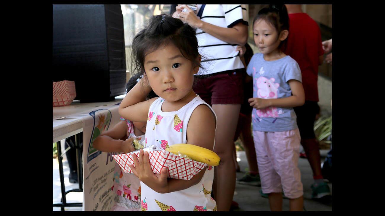 Photo Gallery:Free lunch at the library for those 18 and under