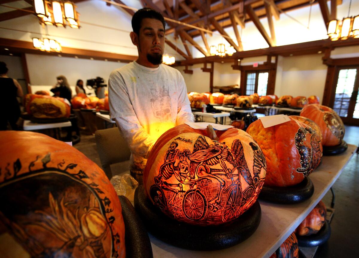 Pumpkin artist Albert Rea checks how light comes through the pumpkin creations at Descanso Gardens in La Cañada Flintridge on Tuesday, Oct. 22. For five evenings in October, a thousand professionally carved pumpkins will line a 1-mile walk Oct. 23 to 27.