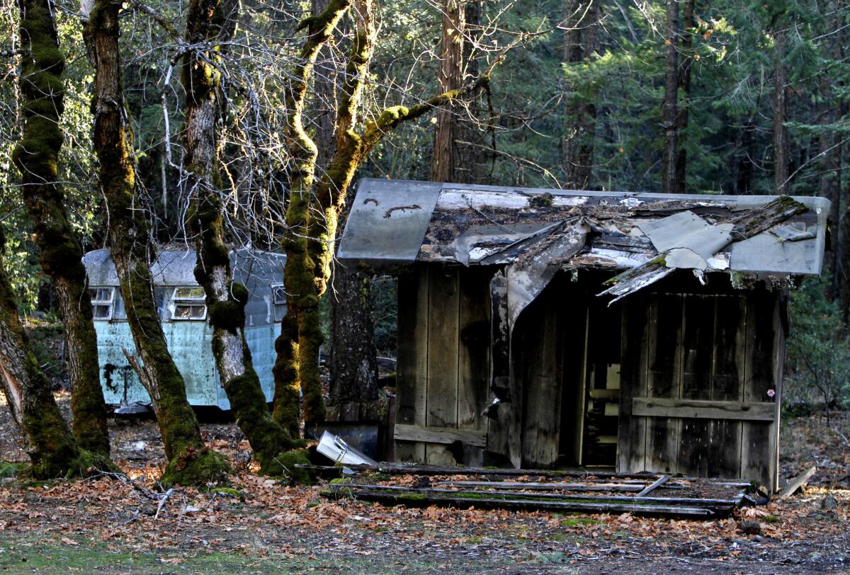 All that's left on the property that's for sale is the bar, dilapidated cabins and a few abandoned motor homes.